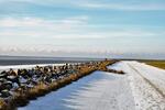 Foto vom Objekt Kommen Sie zum Büsumer Winterzauber