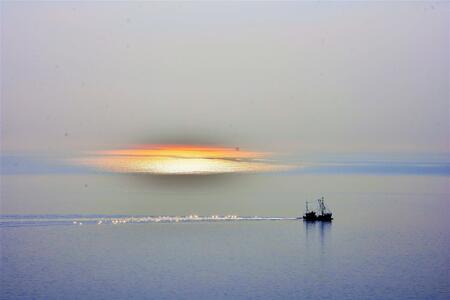 Foto vom Objekt Ferienwohnung 