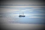 Foto vom Objekt Ab an die Nordsee nach Büsum